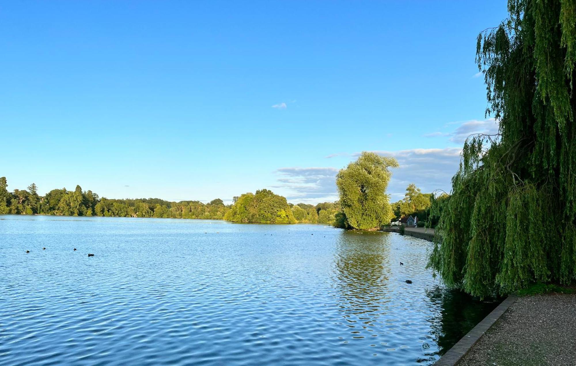Boutique Style Cosy Cottage Ellesmere Bagian luar foto